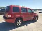 2010 JEEP Liberty