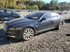 2013 JAGUAR XF