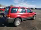 2005 FORD ESCAPE