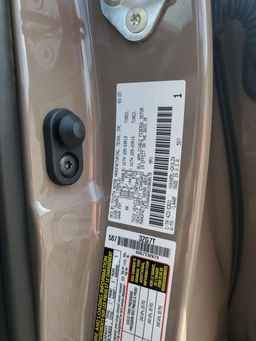 2025 TOYOTA Sequoia