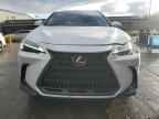 2024 LEXUS NX 250