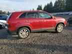 2011 KIA SORENTO