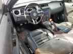 2013 FORD MUSTANG