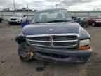 2004 DODGE Dakota