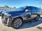 2024 CADILLAC ESCALADE