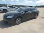 2007 LEXUS Es