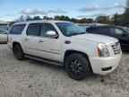 2013 CADILLAC ESCALADE