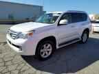2013 LEXUS GX 460