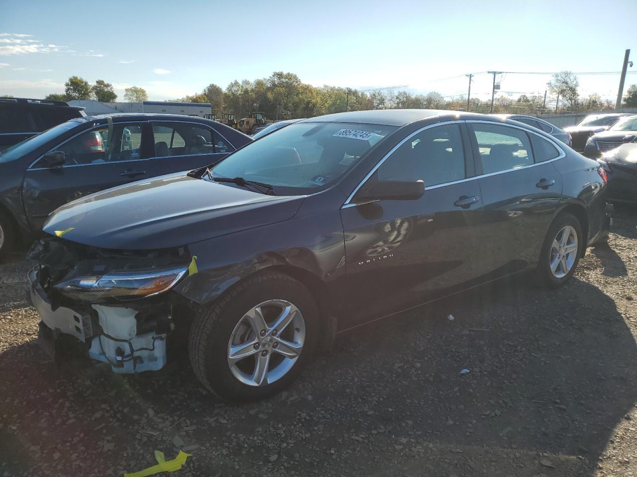 2019 CHEVROLET MALIBU