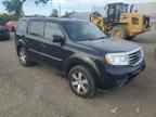 2013 HONDA PILOT