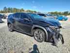 2024 LEXUS UX 250H