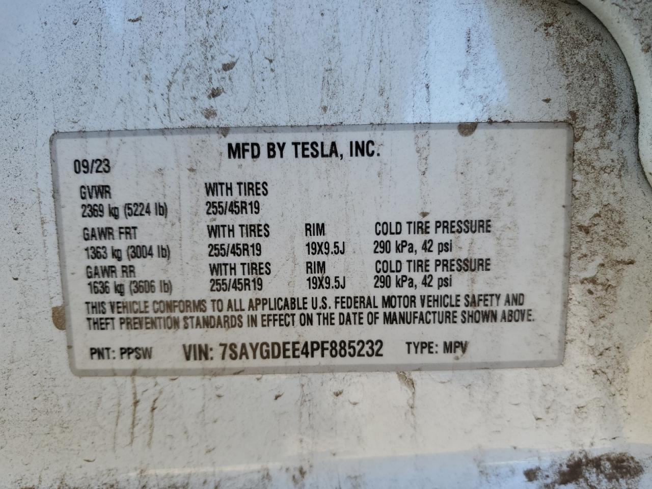 2023 TESLA MODEL Y