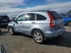 2010 HONDA CR-V