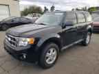 2010 FORD ESCAPE