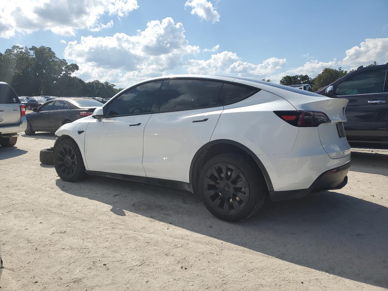 2025 TESLA MODEL Y