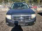 2009 FORD ESCAPE