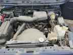 1999 JEEP WRANGLER