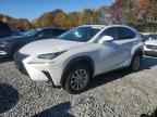2021 LEXUS NX 300H