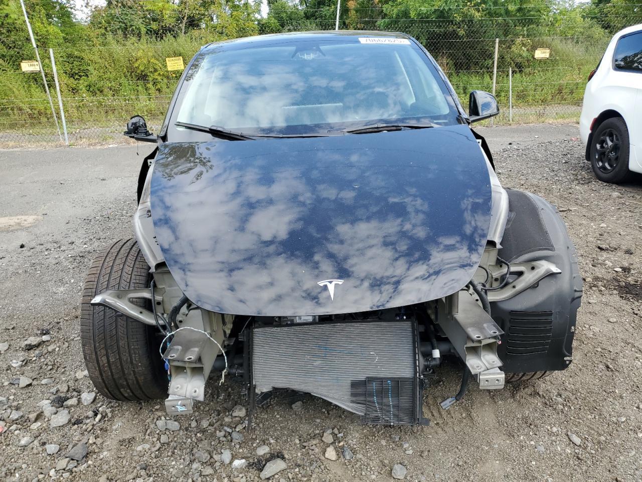 2025 TESLA MODEL Y