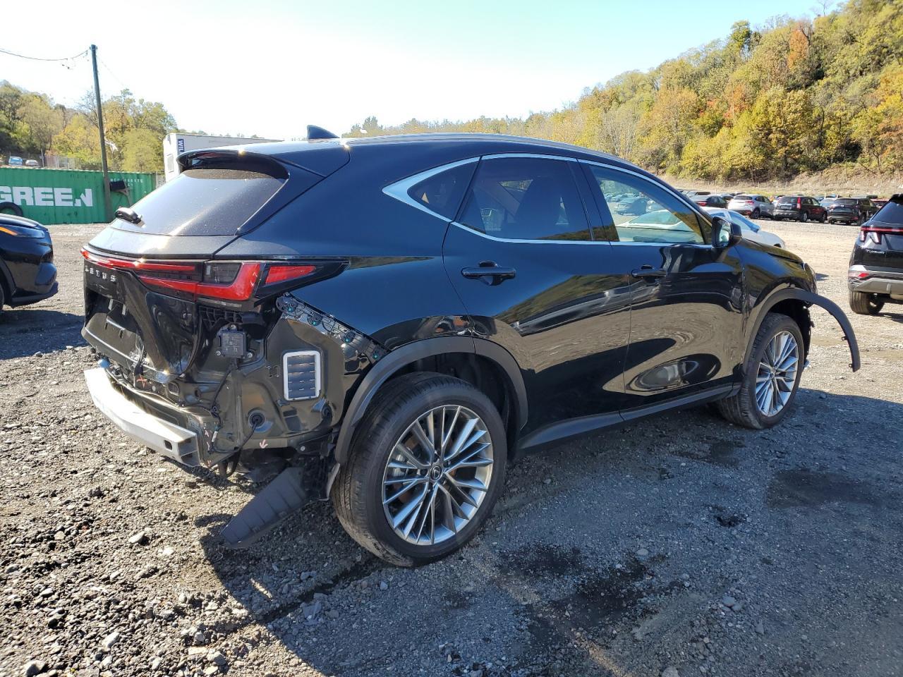 2025 LEXUS Nx