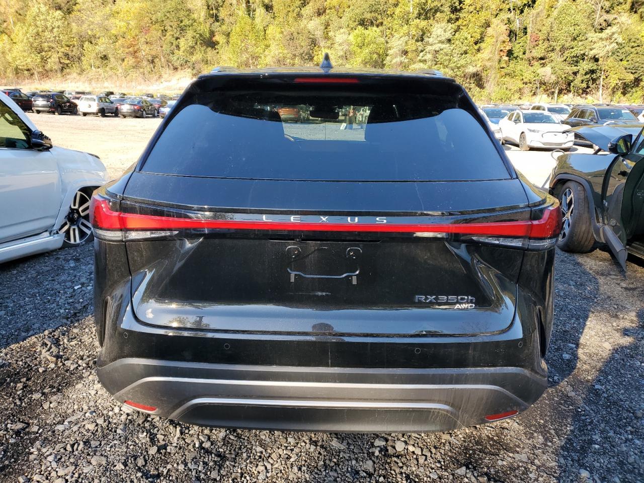 2025 LEXUS RX 350H