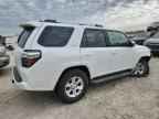 2024 TOYOTA 4Runner