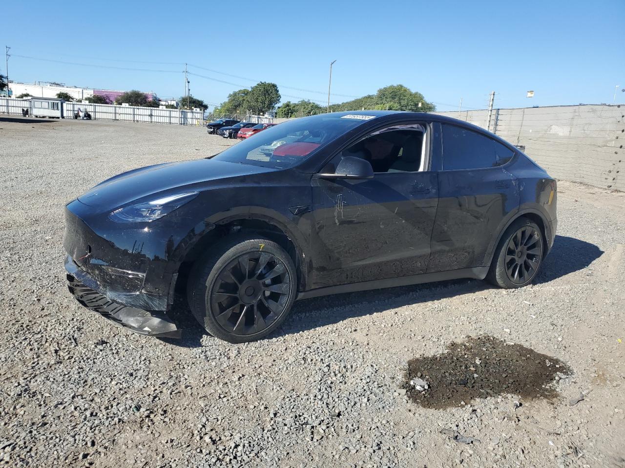 2025 TESLA MODEL Y
