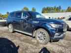 2020 INFINITI QX80