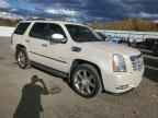 2009 CADILLAC ESCALADE