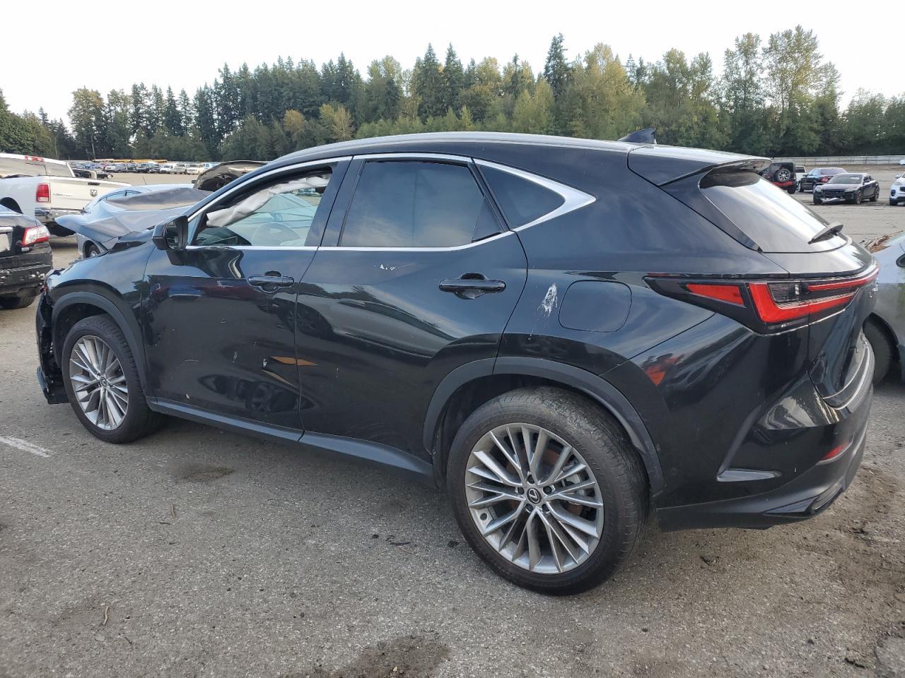 2024 LEXUS Nx