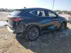 2024 LEXUS NX 250