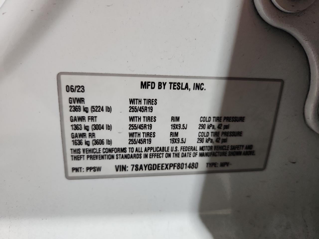 2023 TESLA MODEL Y