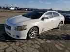 2009 NISSAN Maxima