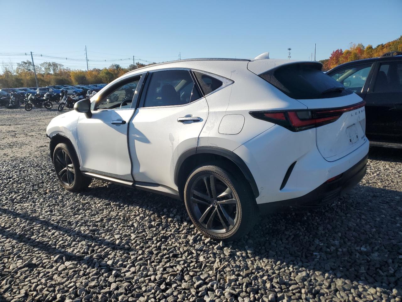 2025 LEXUS Nx