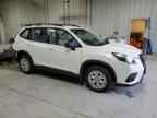 2024 SUBARU FORESTER