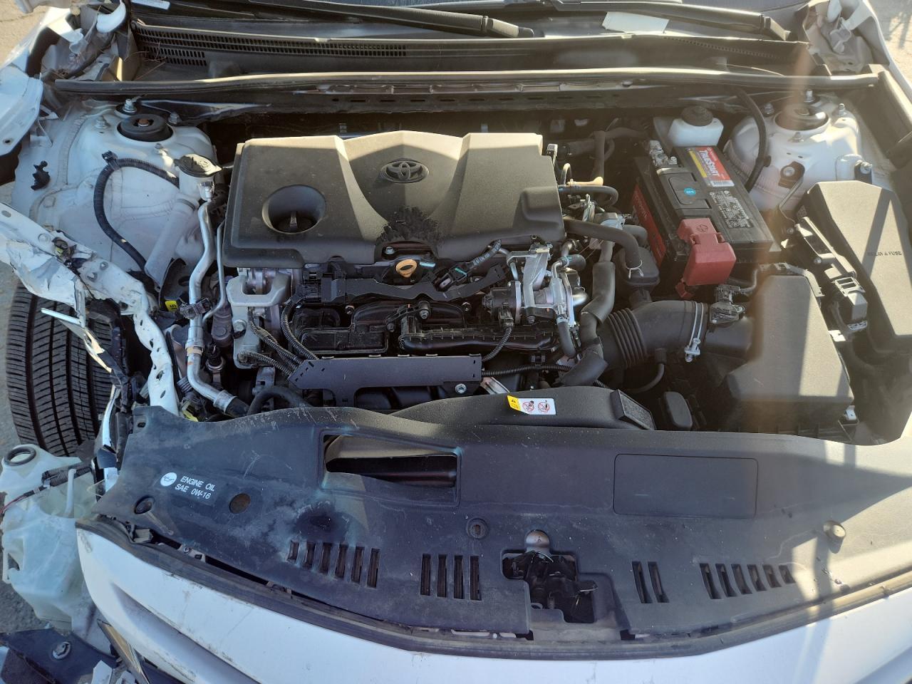 2019 TOYOTA CAMRY