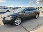 2013 NISSAN Maxima