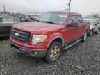 2009 FORD F-150