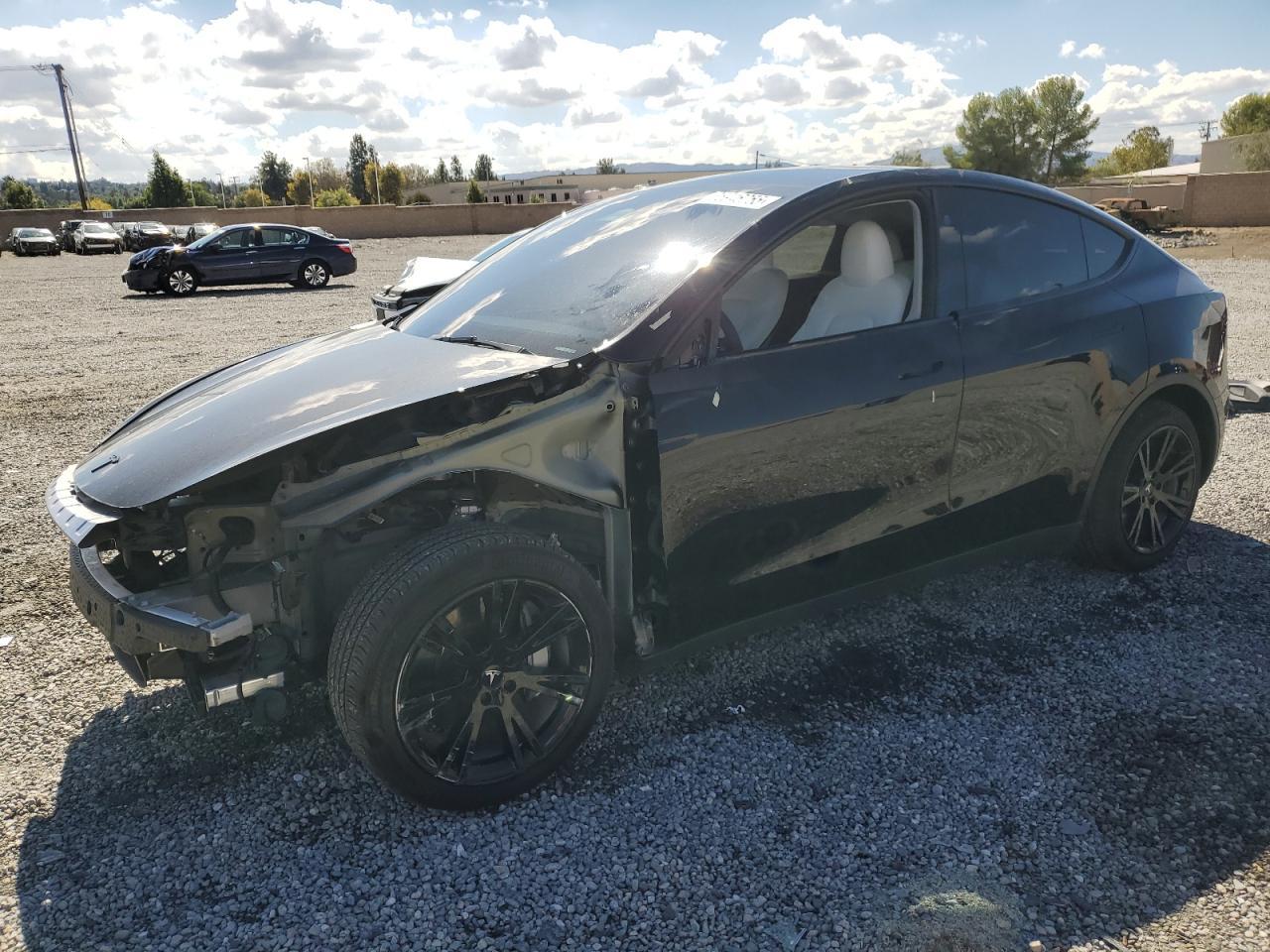 2024 TESLA MODEL Y