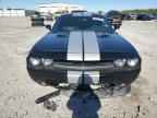 2013 DODGE Challenger