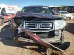 2013 HONDA PILOT
