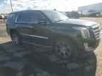 2017 CADILLAC ESCALADE