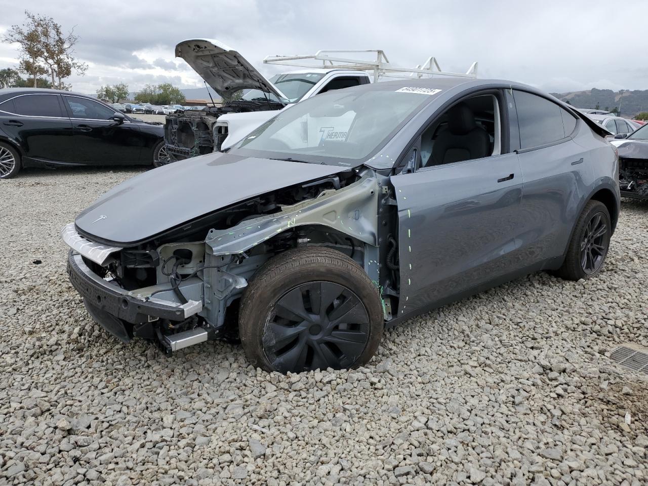 2024 TESLA MODEL Y
