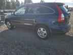 2010 HONDA CR-V