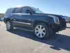2016 CADILLAC ESCALADE