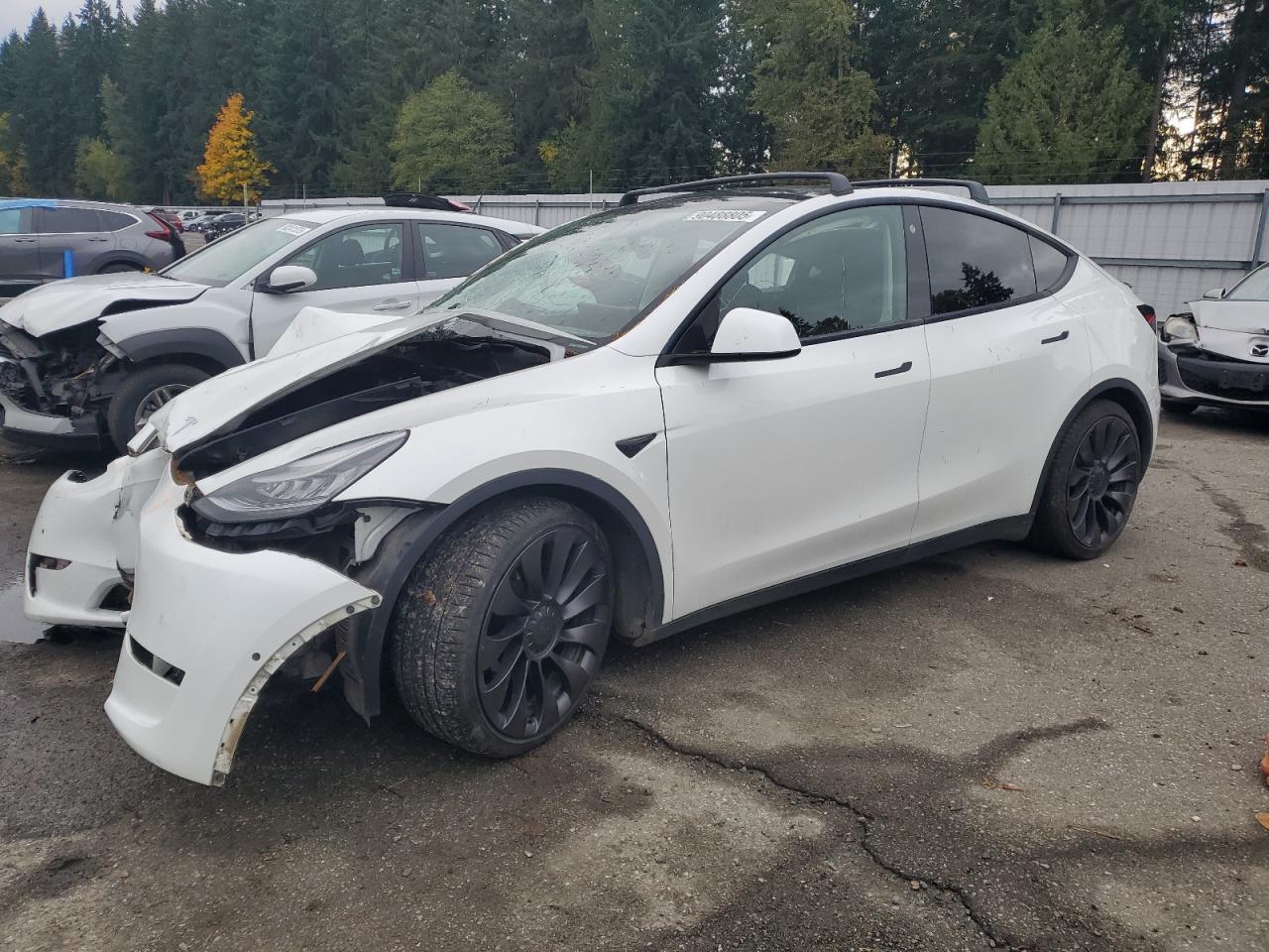 2021 TESLA MODEL Y