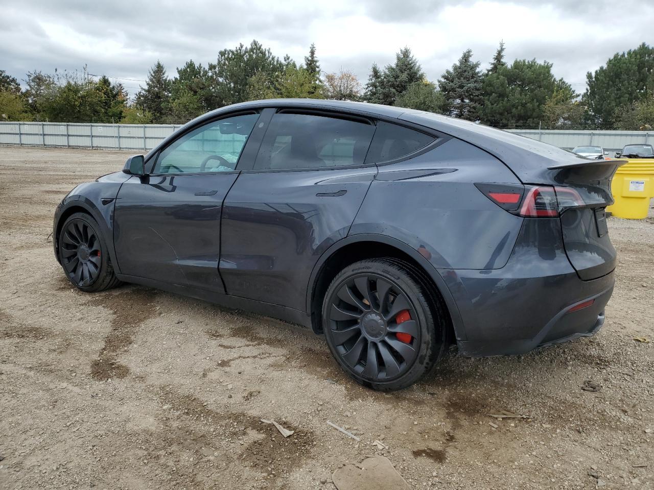 2025 TESLA MODEL Y