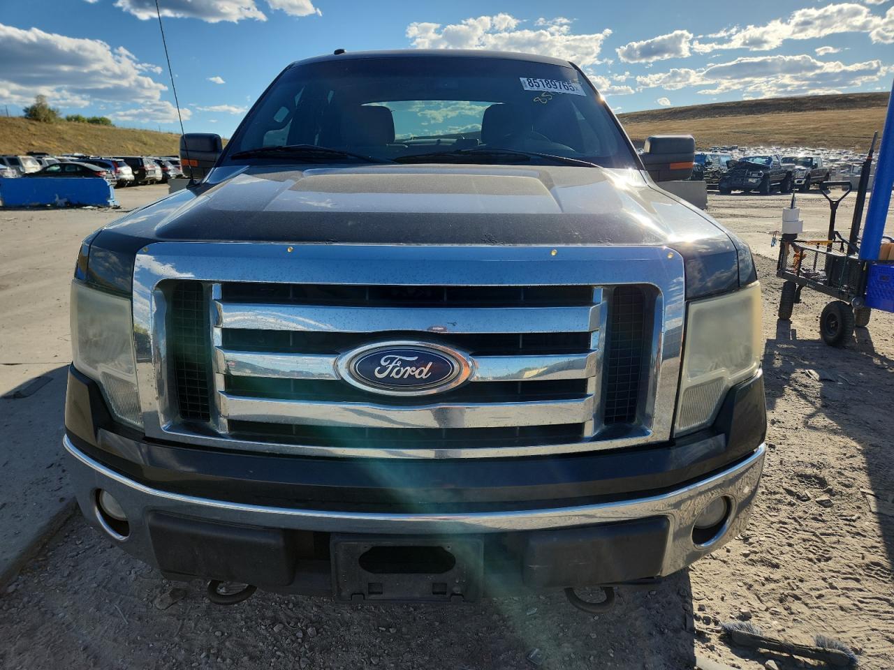 2010 FORD F-150