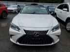 2024 LEXUS Es