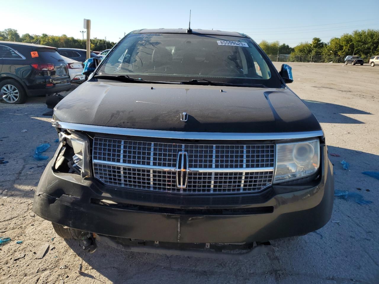 2009 LINCOLN MKX
